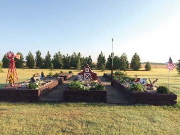 Heart of the Home: DIY Garden Project Image